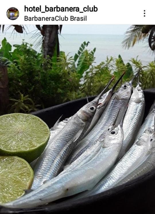 Barbanera Club & Hotel De Charme Caucaia Ngoại thất bức ảnh